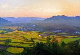 电竞比賽(sài)奖金丰厚，选手们激(jī)烈角逐(zhú)