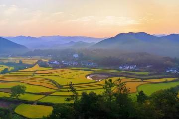 电竞比賽(sài)奖金丰厚，选手们激(jī)烈角逐(zhú)