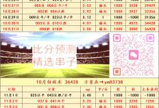 维京VS瓦勒伦加比赛——比分预测