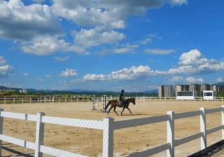 两江国际马术赛事中心正式开馆