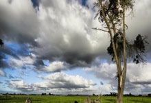 中国男乒让二追三逆转日本队